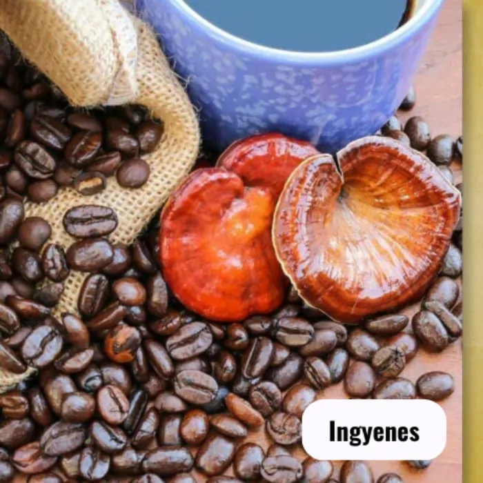 WF 2026 - Ganoderma kávé és forrócsoki kóstoló