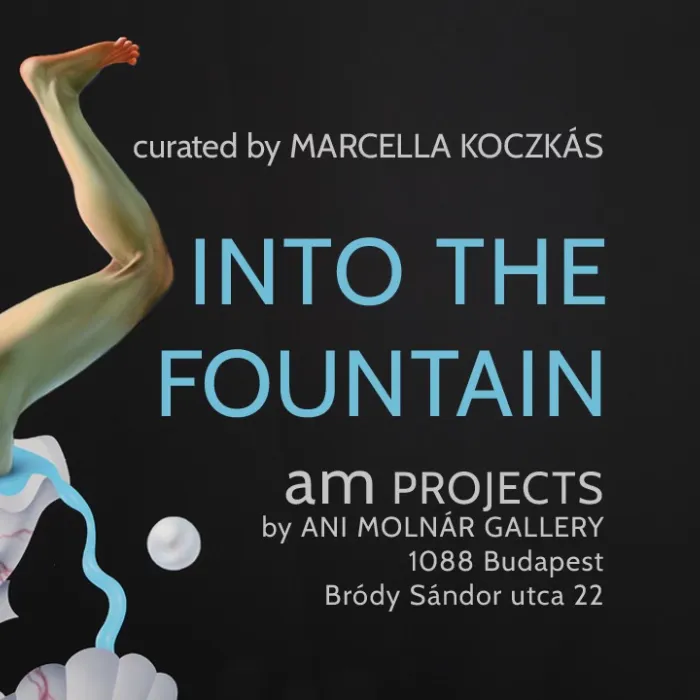 Orr Máté: The Boy Who Fell into the Fountain