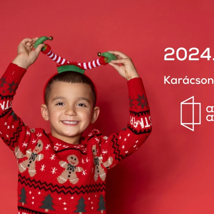 Karácsonyi Fotózás az Autistic Art Galériában