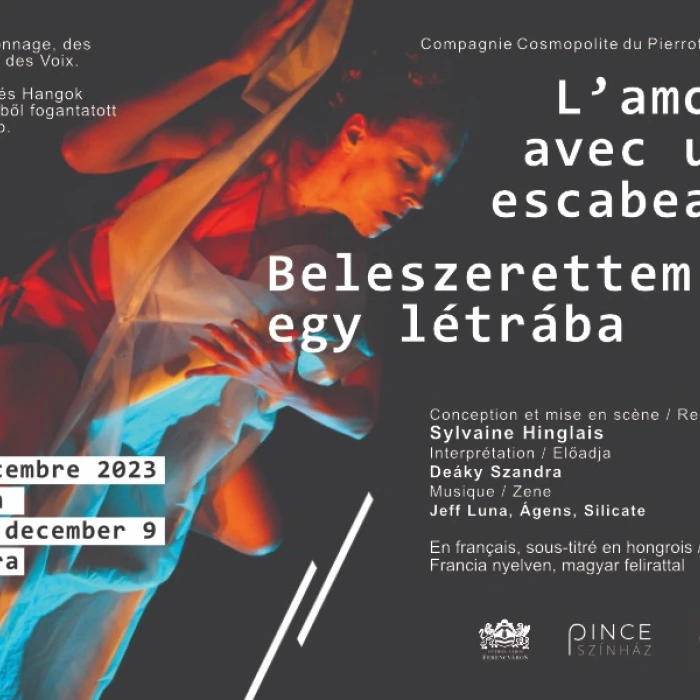 Beleszerettem egy létrába – L’Amour avec un Escabeau - Pinceszínház