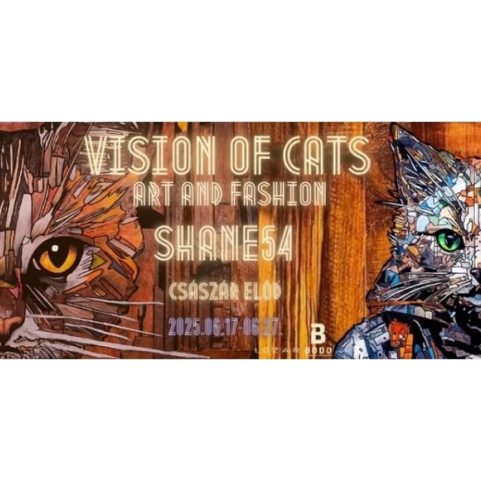 Vision of Cats - Shane54 kiállítás