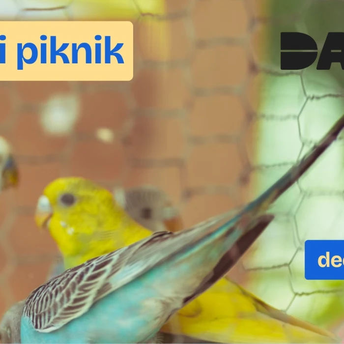 Nyelvi piknik a  (meg)szólításokról