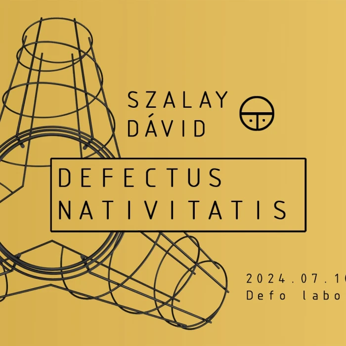 Defectus Nativitatis