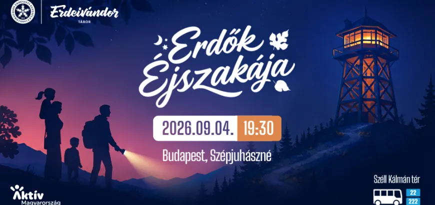 erdocc8bk-ecc81jszakacc81japn-17875701108409.webp