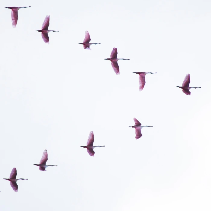 Vezetői készségek a mindennapokban