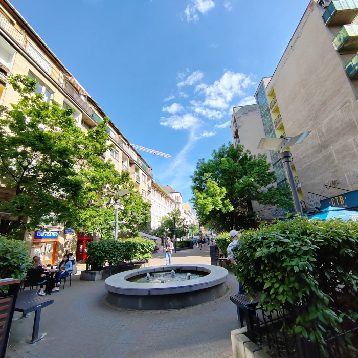 Lövészetből lifestyle – A Lövőház utca újragondolva - Tavaszi Tematikus Séták