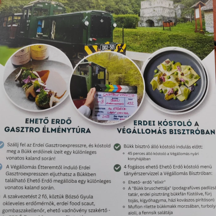 Erdei Gasztroexpressz élménytúra - Miskolc