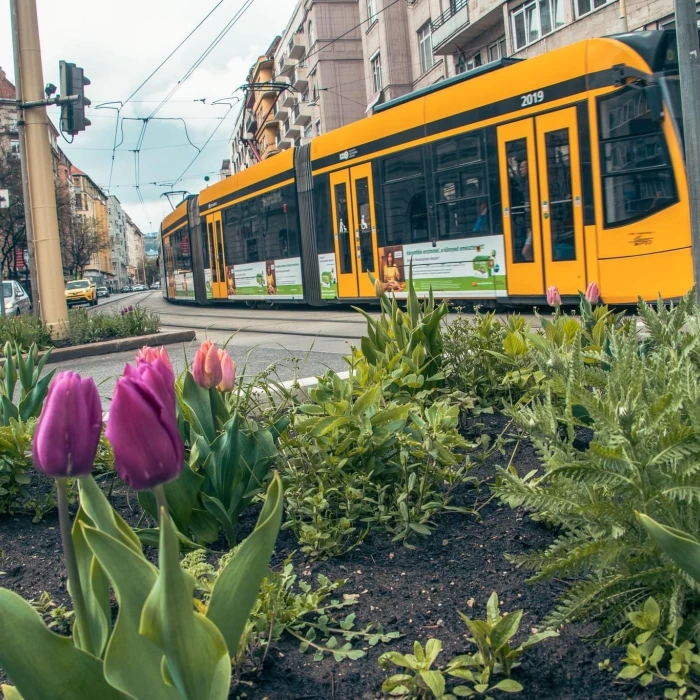 Séta a Margit körúton és környékén - KÖN 2023