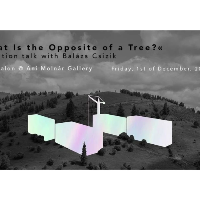 “What Is the Opposite of a Tree?” - Artist talk with Balázs Csizik - Molnár Ani Galéria