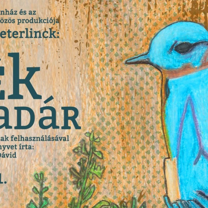 A kék madár - Stúdió K