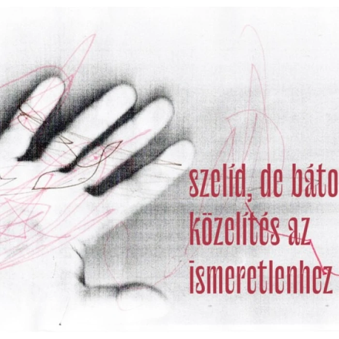 Cserne Klára: Szelíd, de bátor közelítés az ismeretlenhez