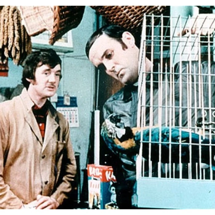 Garázsvarázs avagy Kincsvadászat a Bartókon