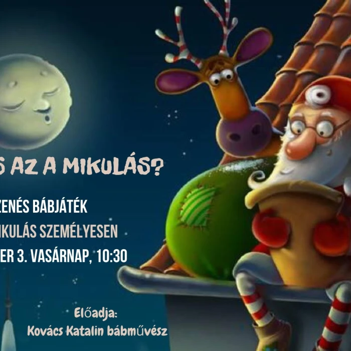 Ki is az a Mikulás? zenés bábelőadás és a Mikulás személyesen - Telt Ház