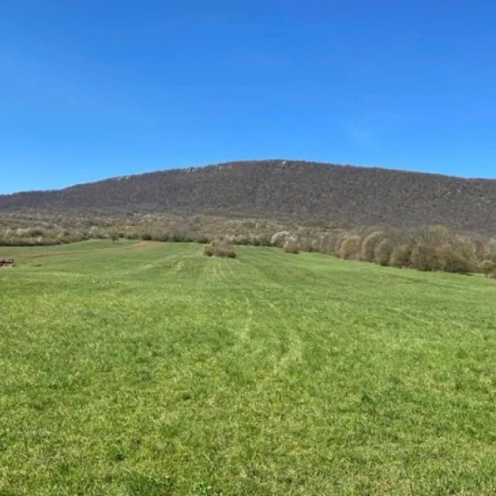 "Challenge Day”/ “Kihívás Napja”