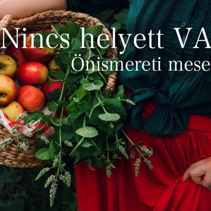 Nincs helyett VAN - önismereti meseworkshop felnőtteknek