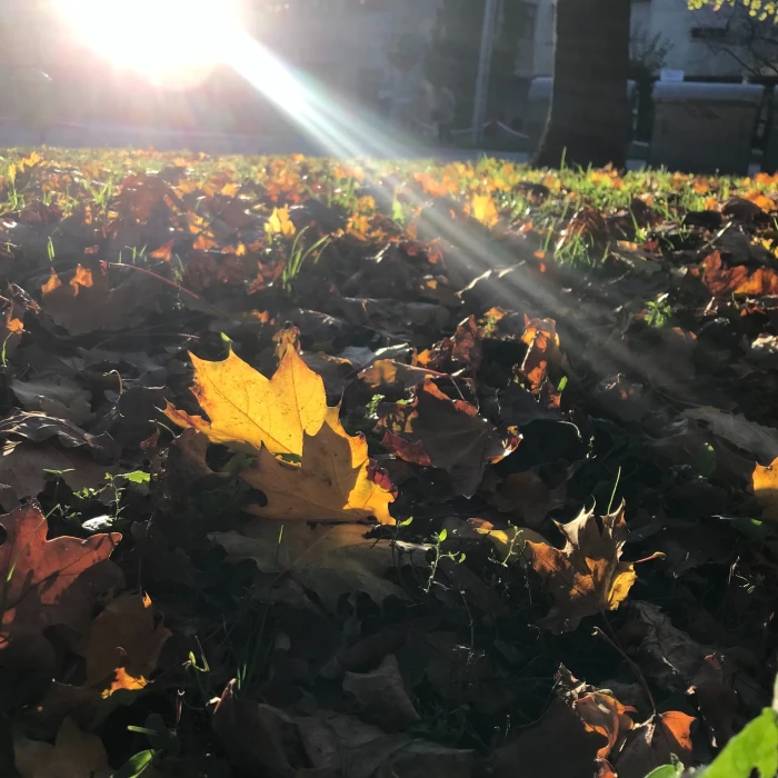Adventi évösszegző önismereti séta - Érzékelés és Felfedezés Műhely