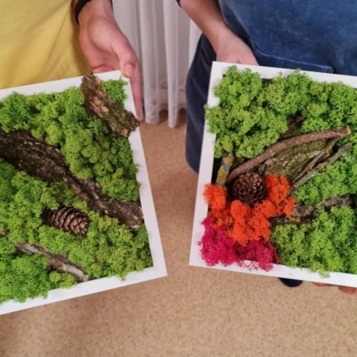 Zuzmókép készítő workshop