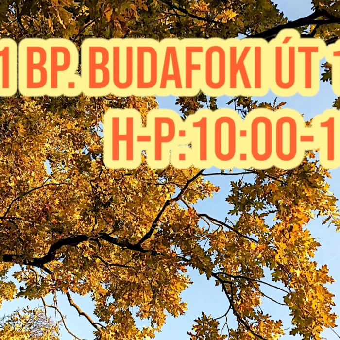 Karácsonyi vásár, folyamatos meglepetés akciókkal!