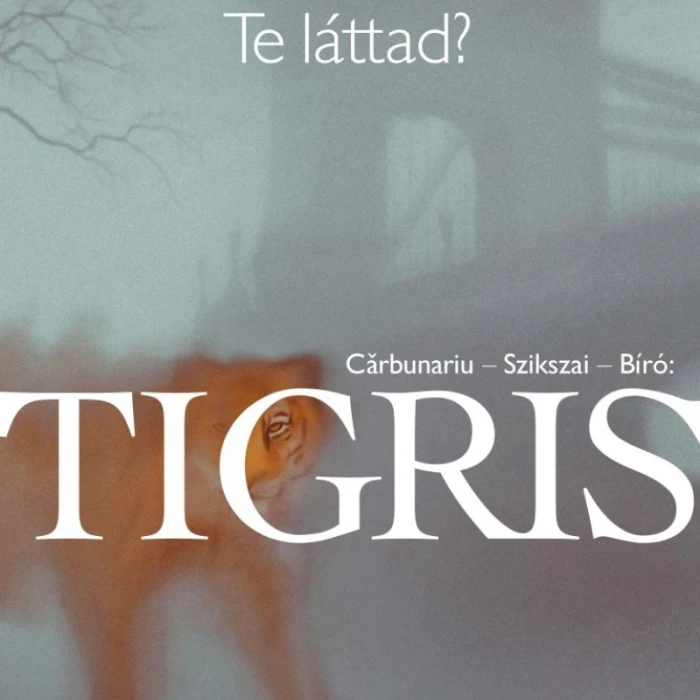 Tigris 12.06