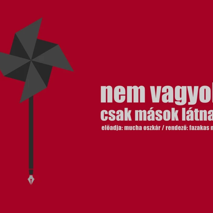 Nem vagyok, csak mások látnak