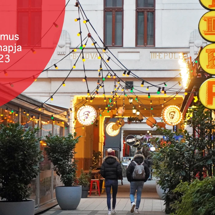 Séta a Nyugati pályaudvar környékén és a Teréz körúton - TVN2023