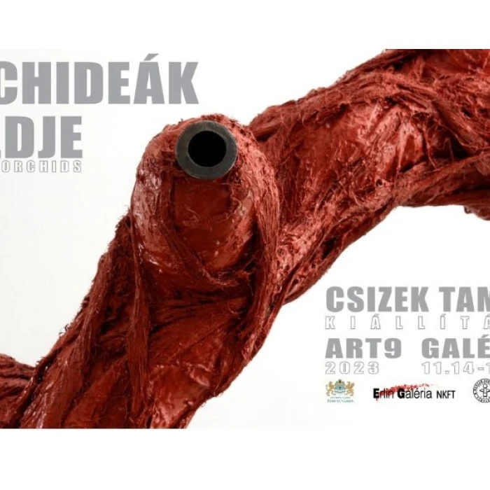 Orchideák földje - Csizek Tamás kiállítása
