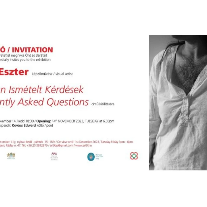 Gyakran Ismételt Kérdések - Palik Eszter kiállítása