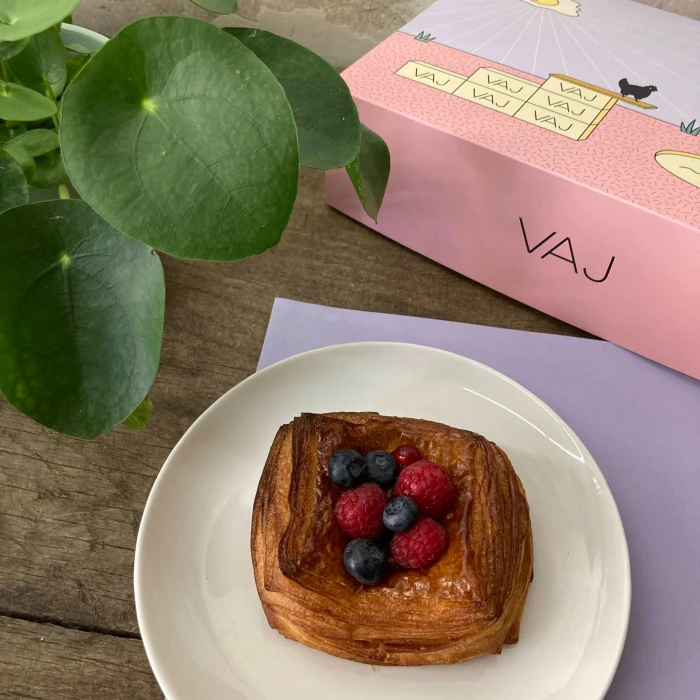 Szobanövény vásár a VAJ-ban