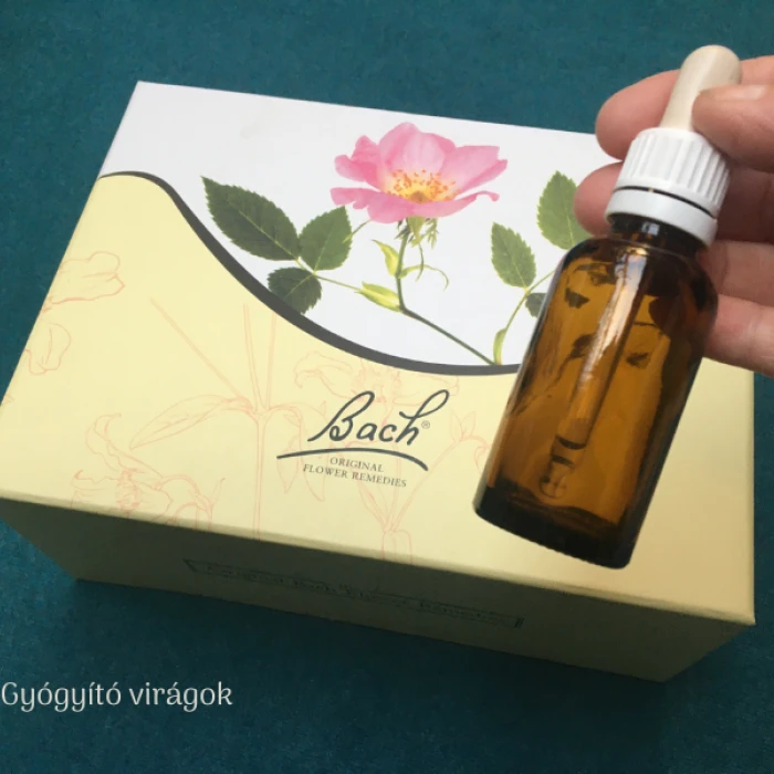 Gyógyító virágok