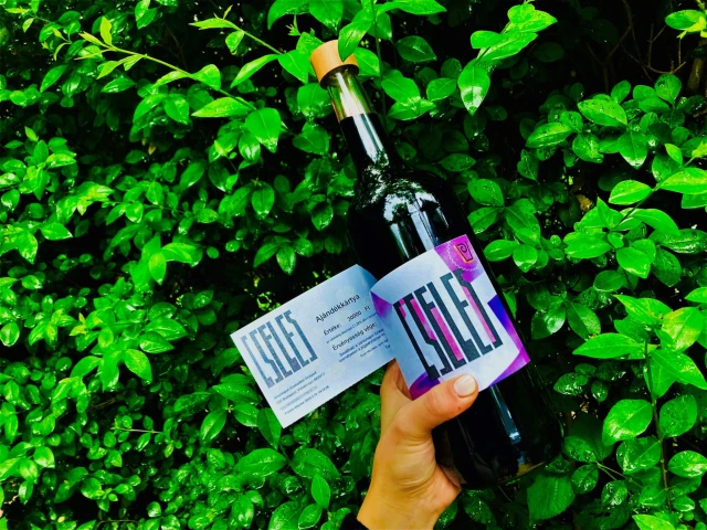 A Városmajori Szabadtéri Színpad egész nyáron meglepetésekkel készül nézőinek!