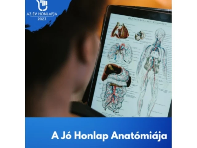 A Jó Honlap Anatómiája: Mi kell egy jó honlaphoz?