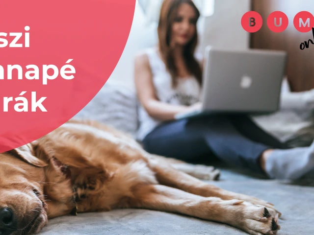 Őszi kanapé túrák - beszámoló október