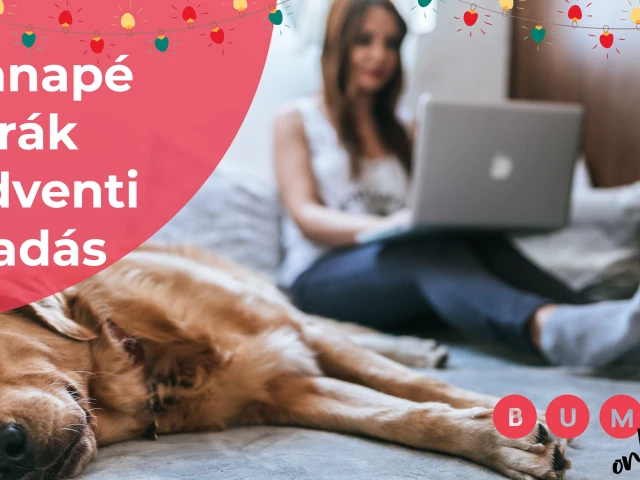 Kanapé túrák adventi kiadás 2020 - beszámoló