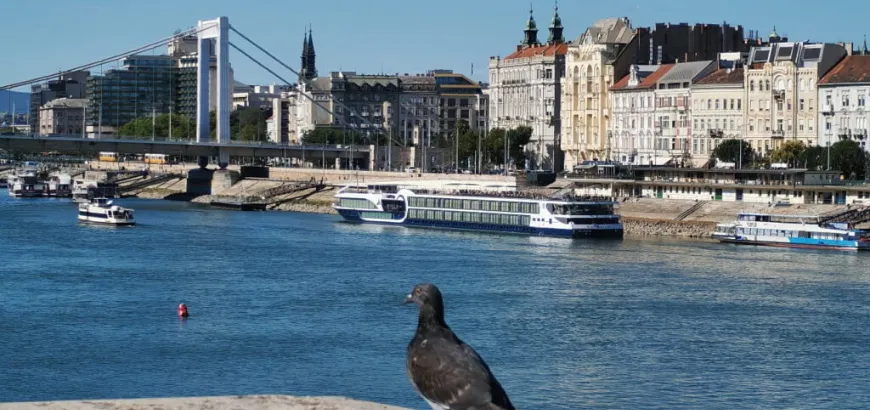 nemzetek-konyhai-a-belgrad-rakparton-a-kocsmaturista-szemevel-17900991595972.webp