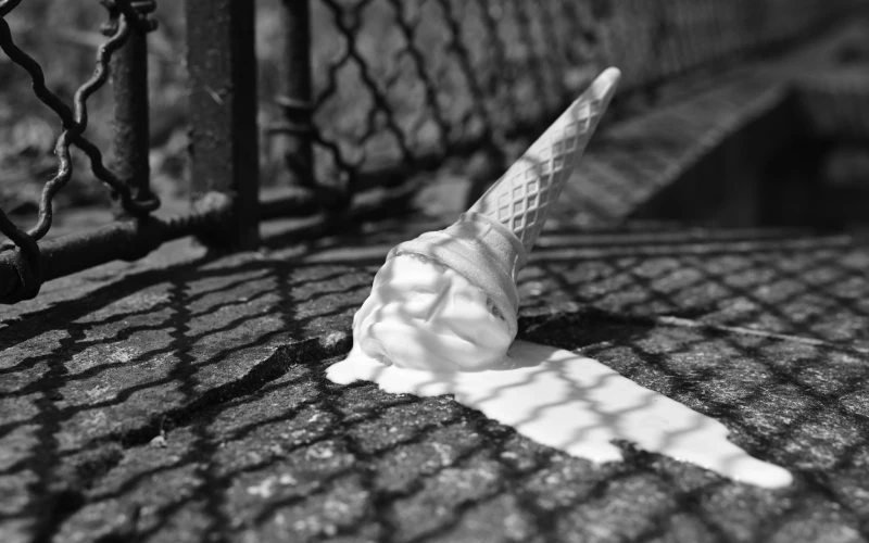 451547981_894535512708011_7527857514653050739_n