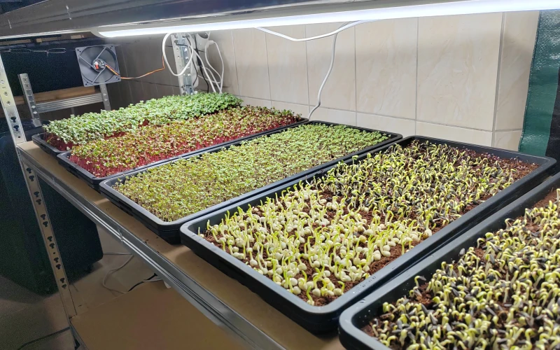 IMG_20260424_103202 - 17774612144192