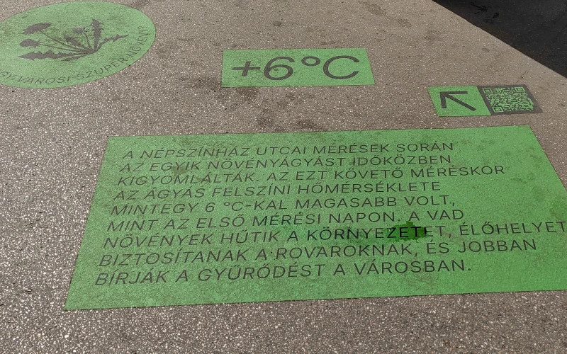 IMG_20260424_103618 - 17774611801043