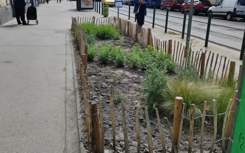 IMG_20260424_104845 - 17774610466871