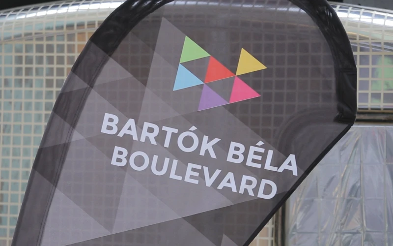 MVI_6002.00_30_32_05.Still018