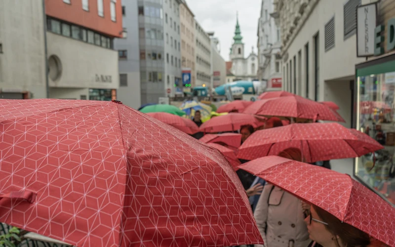 wien_delegation15may17