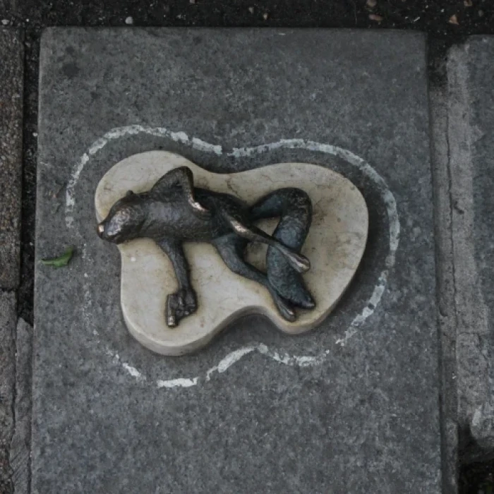 small-img-0179